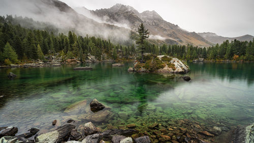 Scenic view of lake in forest against sky