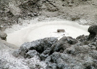 High angle view of bird on sand at beach