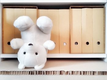 Teddy bear against files shelf