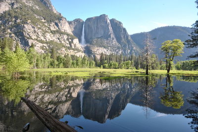 Reflection of trees in lake