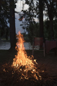 Bonfire on the bank of a river. concepts of traveling, being in nature, outdoor fun.