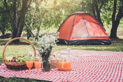 Food and drink on picnic blanket against trees in forest