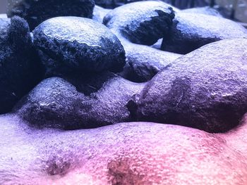 Close-up of human hand