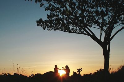 Silhouette of trees at sunset