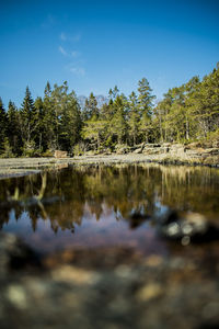 Reflection of trees in lake against sky