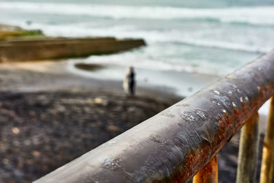 Rear view of man walking on beach