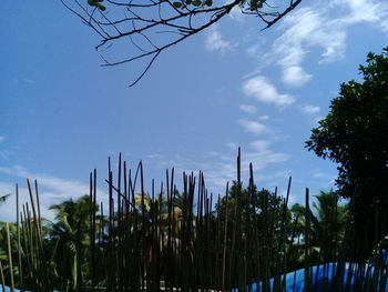 Low angle view of silhouette trees on field against sky