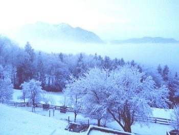 Scenic view of snow covered mountains