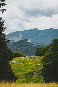 Scenic view of landscape and mountains against sky