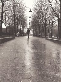 Rear view of man walking on road