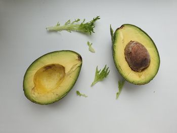 Directly above shot of fruits against white background