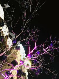 Close-up of illuminated christmas tree at night