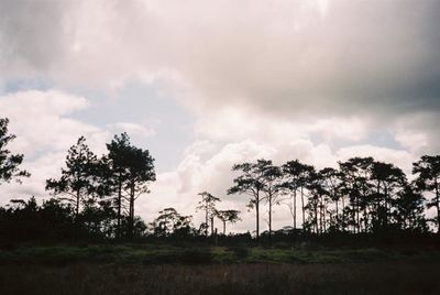 Silhouette trees on field against sky