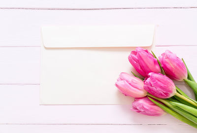 High angle view of pink tulip on table