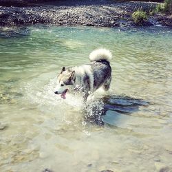 Water splashing in water