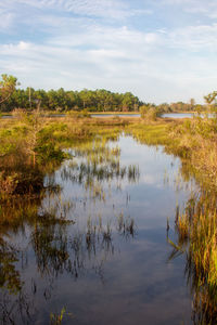 Scenic view of marsh against sky croatan national outer banks north carolina 