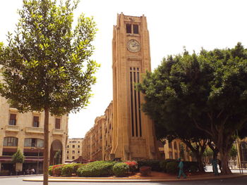 Trees and buildings against sky