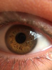 Close-up of brown eye of person