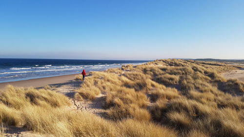 Scenic view of beach against clear blue sky