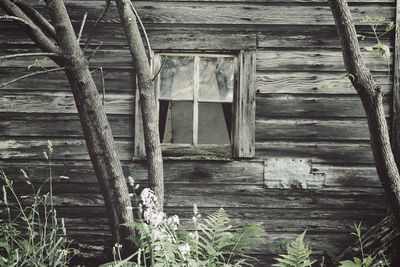 Old ruin of building