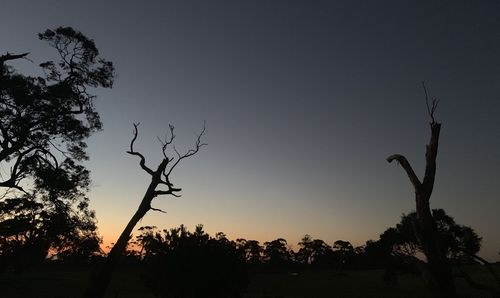 Low angle view of silhouette trees against sky at sunset