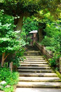 Walkway leading to staircase