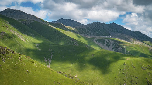 environment