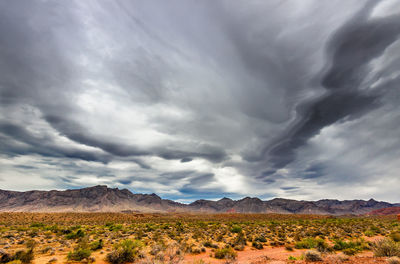 Scenic view of landscape against cloudy sky