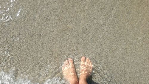 Low section of person standing on wet sand at beach