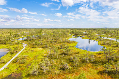 Great kemeri bog swamp at the kemeri national park in latvia
