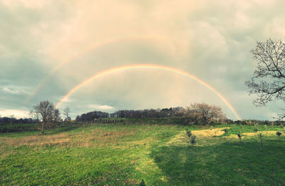 Scenic view of rainbow over trees on field against sky