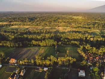 High angle view of agricultural field against sky