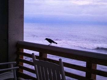 Bird perching on wood by sea against sky