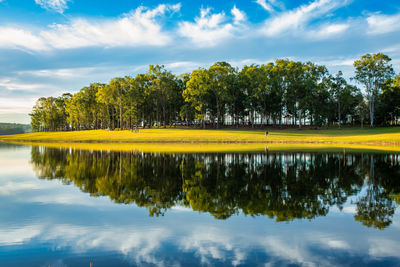 Scenic view of lake by trees against sky