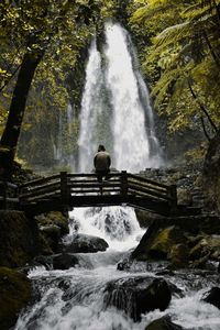 Scenic view of waterfall in forest