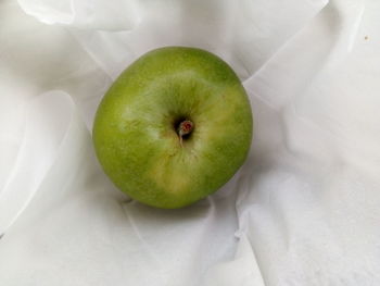 Directly above shot of apples on apple