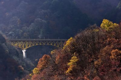 Bridge against tree mountain during autumn