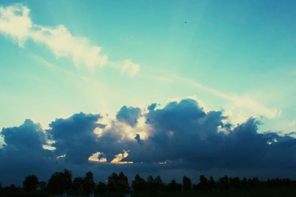 sky, cloud - sky, tranquility, tranquil scene, scenics, beauty in nature, blue, nature, silhouette, low angle view, cloud, tree, cloudy, idyllic, flying, outdoors, landscape, no people, cloudscape, day