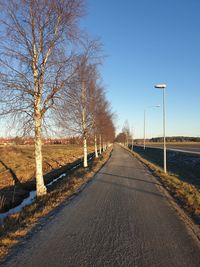 Empty road along bare trees against clear sky