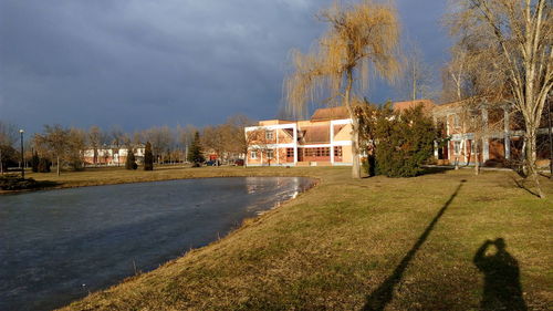 Houses by trees against sky