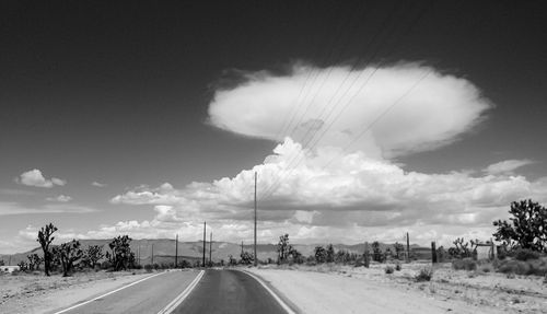 Road by trees against sky in city