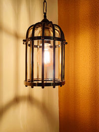 Edison bulb in a cage light