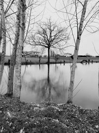 Bare trees by river against sky