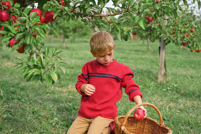 Portrait of cute baby boy standing by plants