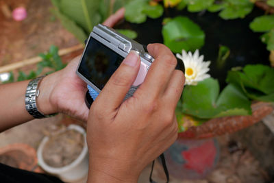 Cropped hands of person photographing flower with camera