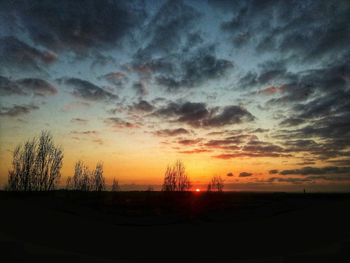 Silhouette trees on field against dramatic sky during sunset