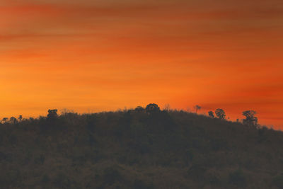 Scenic view of field against orange sky