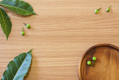 Directly above shot of multi colored fruits on table