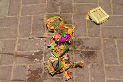 High angle view of flower on footpath