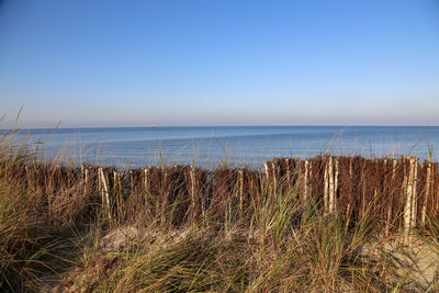 Scenic view of sea against clear sky